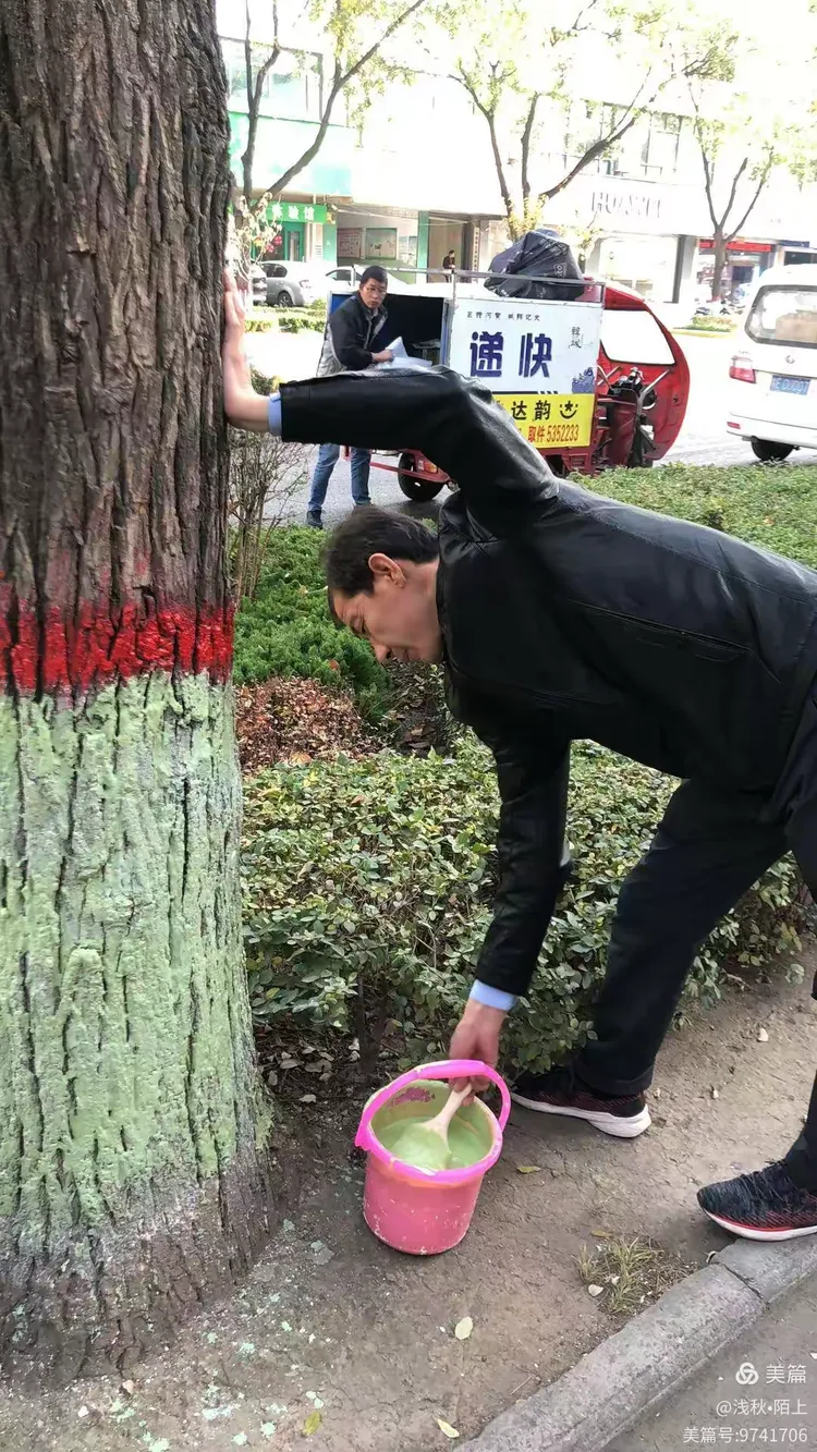保护树木 美化环境